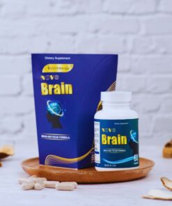 Alternative view of Novo Brain